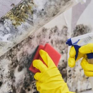 Cape Coral Mold Abatement